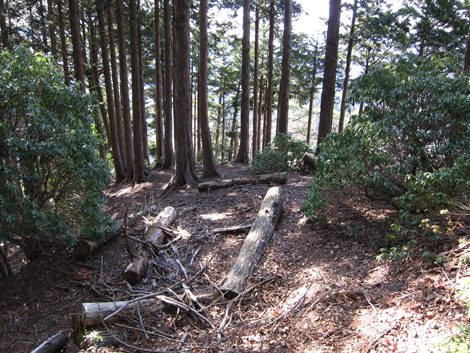 20200204hike (306)